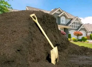 Roll on lawn Lm Berea grass