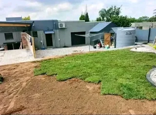 Supply and installa Lm Berea grass and Kikuyu grass