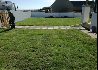 Supply and installa Lm Berea grass