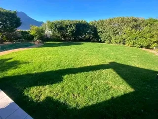 Supply and installa buffalo grass