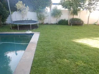 Green and fresh national grass