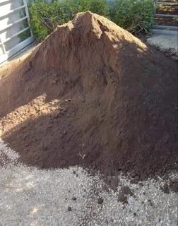 Green and fresh national grass