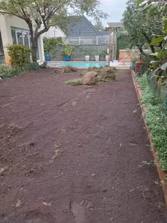 Roll on lawn Lm Berea grass