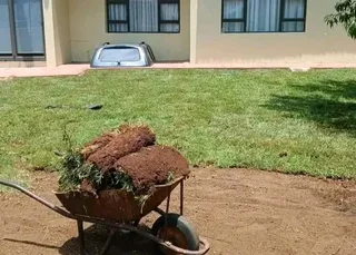 Cynadone grass /) Kikuyu grass and Lm Berea grass weed free