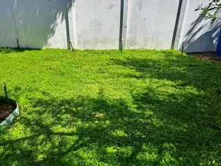 Roll on lawn Kikuyu grass