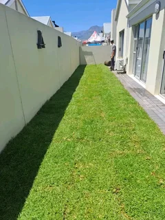 Roll on lawn Kikuyu and Cynadone grass