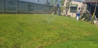 Roll on lawn Kikuyu and Cynadone grass