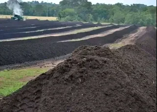 Roll on lawn Kikuyu and Cynadone grass