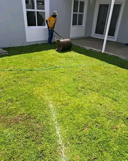 fresh and green grass