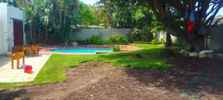 fresh and green grass