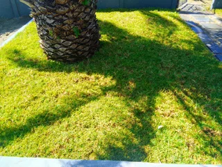 PROFESSIONALS WITH IMMENSE EXPERIENCE IN INSTALLATION &amp; LAYING NATIONAL GRASS