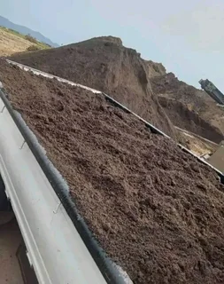 Delivery and installa buffalo grass