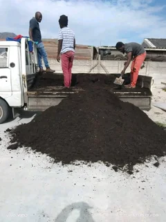Delivery and installa buffalo grass