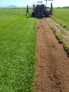 Delivery and installa Cyndone grass and Lm Berea grass