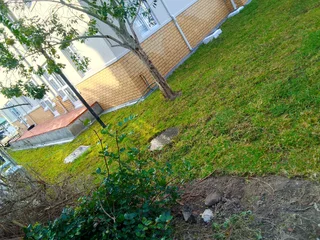 Professionals With Immense Experience In Installation & Laying National Grass