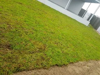 PROFESSIONALS WITH IMMENSE EXPERIENCE IN INSTALLATION &amp; LAYING NATIONAL GRASS