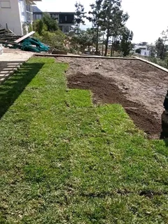 Roll on lawn Kikuyu grass