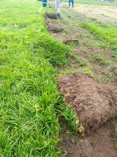 We do supply and installa call type of national grass