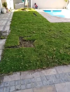 Roll on lawn Kikuyu grass