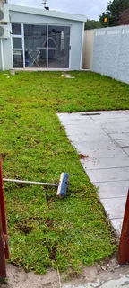 Roll on lawn Cynadone grass and Lm Berea grass