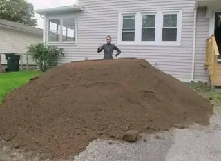 Roll on lawn Kikuyu grass and buffalo grass weed free