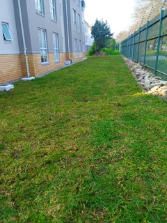 Roll on lawn green grass