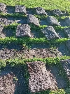 Roll on lawn green grass