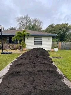 Roll on lawn green grass