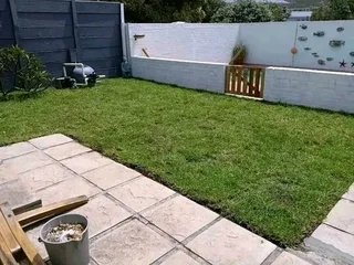 Supply and installa buffalo grass