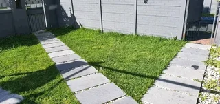 Roll on lawn Cynadone grass