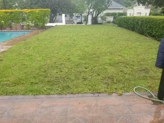 Roll on lawn Lm Berea grass