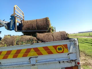 Supply and installa Kikuyu grass