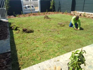 Roll on lawn Lm Berea grass and Kikuyu grass &amp; buffalo grass