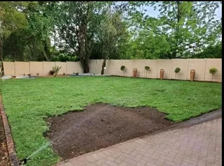 Roll on lawn Lm Berea grass and Kikuyu grass &amp; buffalo grass