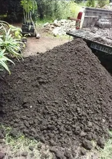 Roll on lawn Lm Berea grass and Kikuyu grass &amp; buffalo grass