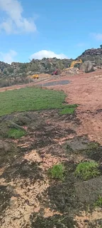 Delivery and installa Lm Berea grass and Cynadone grass