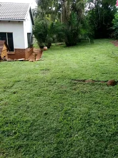 Supply and installa Kikuyu grass and compost weed free