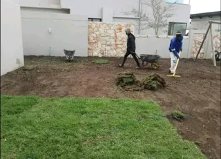 Supply and installa Kikuyu grass and compost weed free