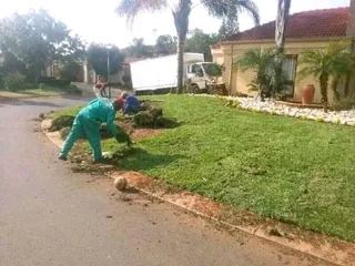 Supply and installa Kikuyu grass and compost weed free