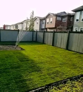 Supply and installa Kikuyu grass and compost weed free