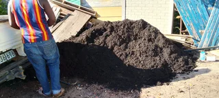 Supply and installa Kikuyu grass and compost weed free