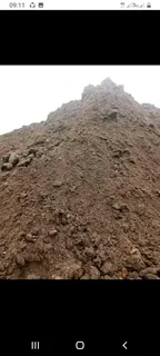 Roll on lawn Lm Berea grass