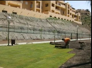 Roll on lawn Lm Berea grass