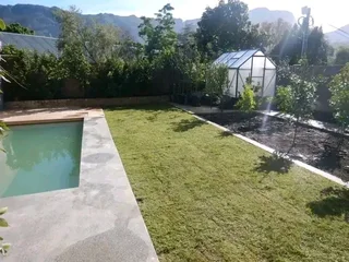 Roll on lawn Kikuyu grass and lawn dressing weed free