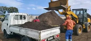 Roll on lawn Kikuyu grass and lawn dressing weed free