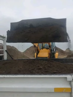 Fresh and green grass   Kikuyu grass  Lm Berea grass