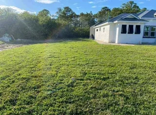 We do supply and installa buffalo grass