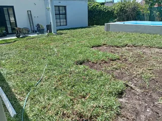 Roll on lawn Kikuyu grass and buffalo grass