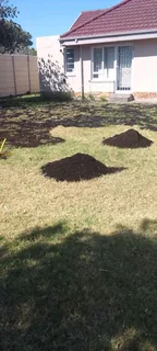 Roll on lawn Kikuyu grass and buffalo grass