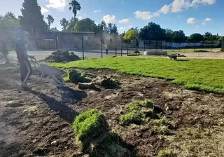 Roll on lawn Kikuyu grass and buffalo grass